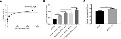 MiR-520a-5p/PPP5C regulation pattern is identified as the key to gemcitabine resistance in pancreatic cancer